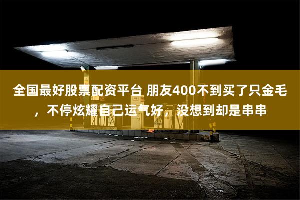 全国最好股票配资平台 朋友400不到买了只金毛，不停炫耀自己运气好，没想到却是串串