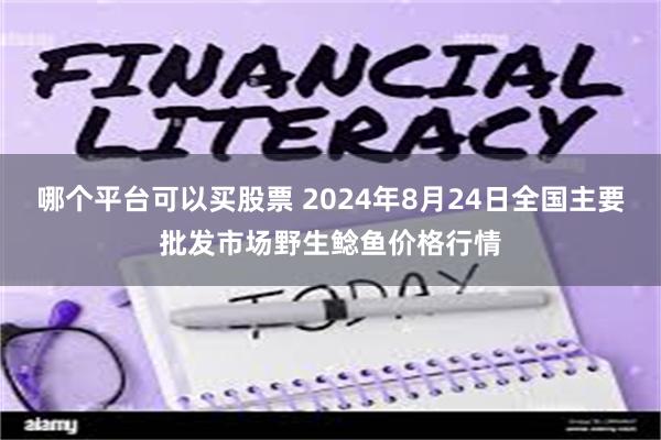 哪个平台可以买股票 2024年8月24日全国主要批发市场野生鲶鱼价格行情